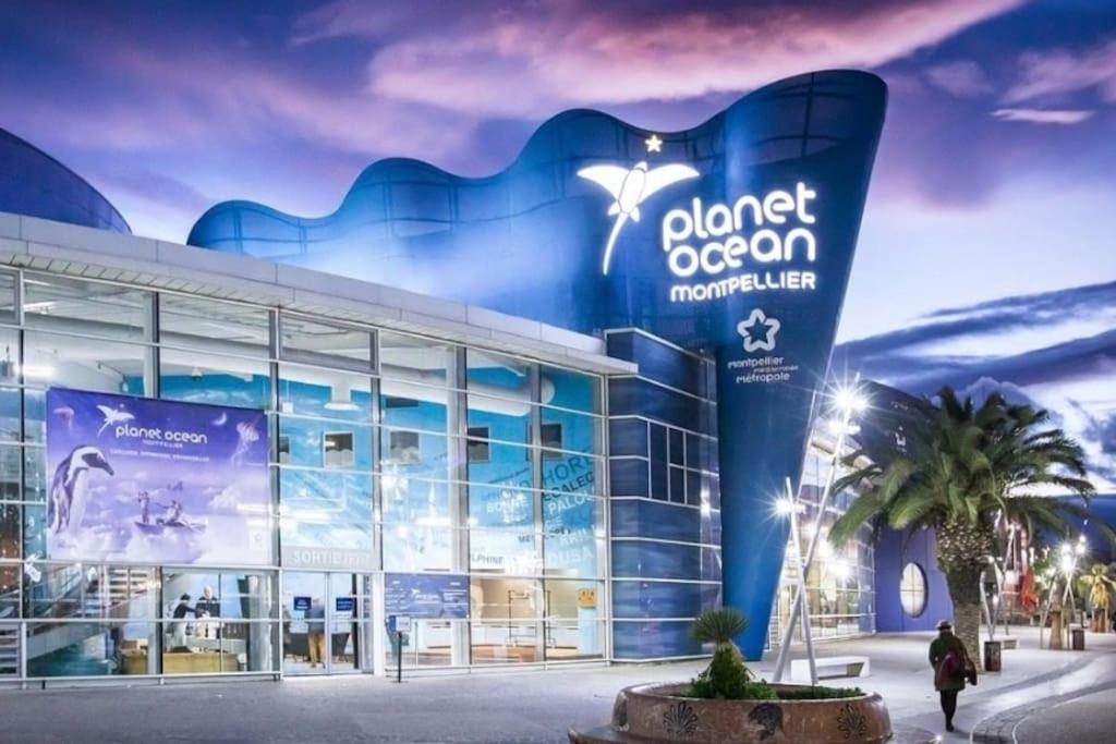 Confort Climatise Et Suite Privee En Sousplex 몽펠리에 외부 사진
